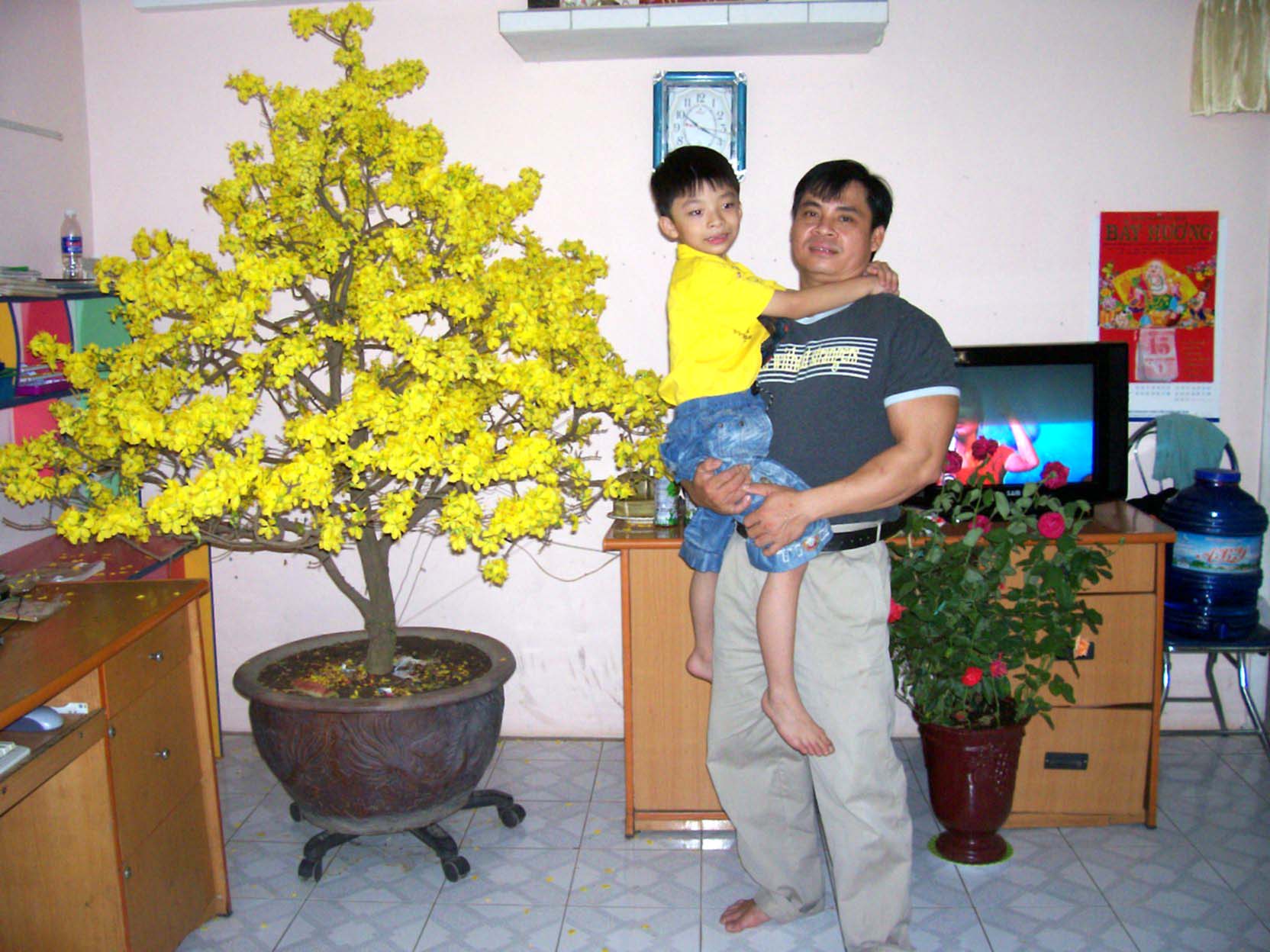 hinh 2 c&acirc;y mai hoanh 50cm n&egrave;