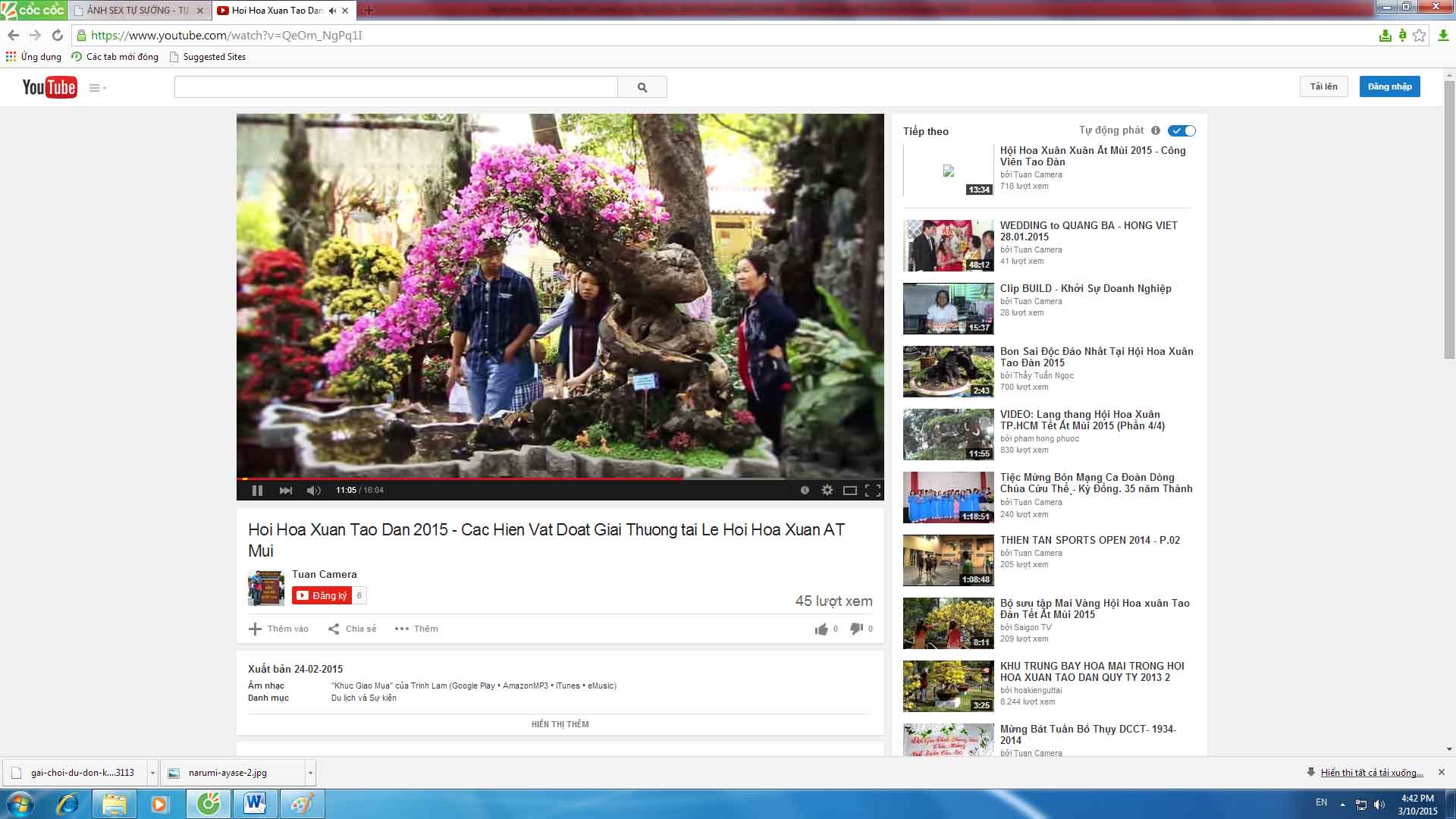 c&acirc;y bong giấy ho&agrave;nh 220cm